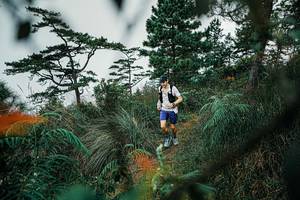 BIB: 
                            <button type="button" onclick="openModal(25258335)" class="btn btn-primary btn-sm float-right btn-popup" data-toggle="modal" data-target=".modal-high-quality">
                        <i class="fas fa-shopping-cart"></i> Add to Cart
                    </button>
                                            <button type="button" onclick="isThisMe(25258335, true)" class="btn btn-success btn-sm float-right btn-popup btn-isme hidden" data-toggle="tooltip" data-placement="bottom" title="นี่คือรูปของคุณใช่ไหม คลิกที่นี่เพื่อเอาเข้าอัลบั้ม">
                        <i class="fas fa-plus"></i> Add to album
                    </button>
                    <button type="button" onclick="isThisMe(25258335, false)" class="btn btn-warning btn-sm float-right btn-popup btn-isnotme hidden">
                        <i class="fas fa-ban"></i> Remove from album
                    </button>